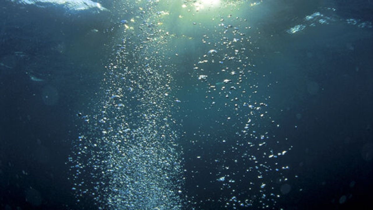 Microbes flourish in deepest spot in world's oceans: study