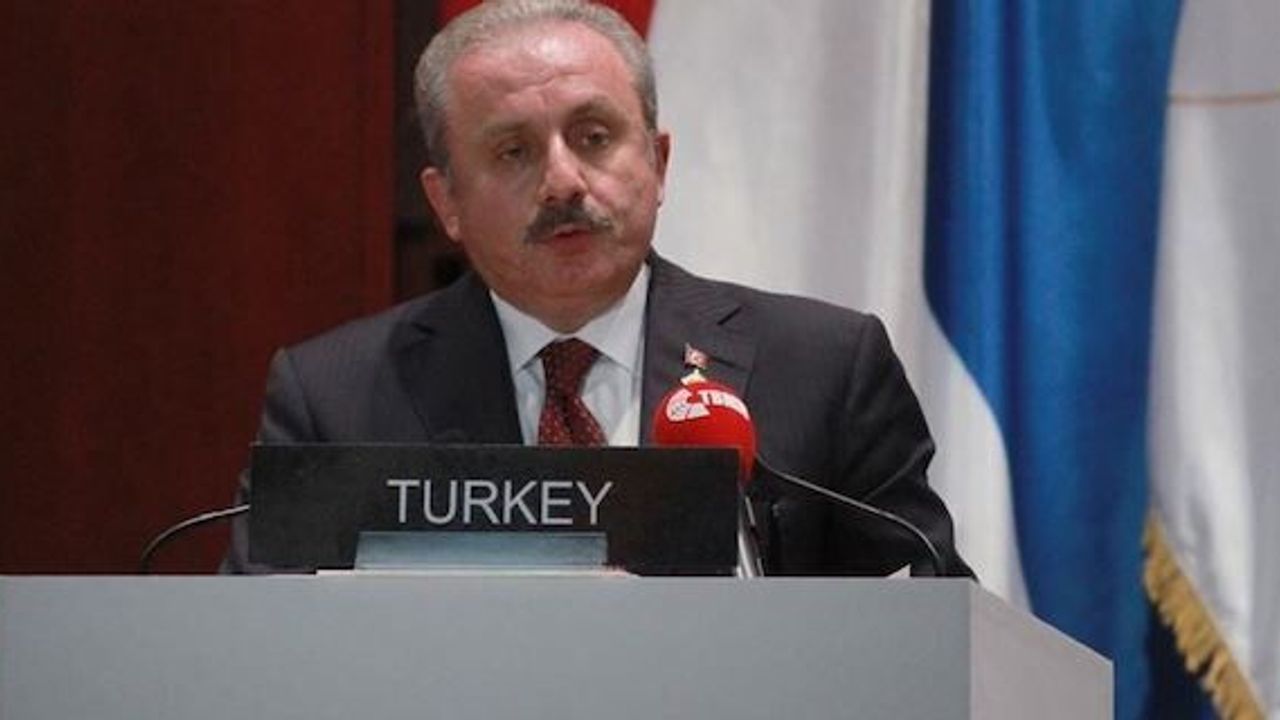 'NATO allies should back Turkey's anti-terror push'
