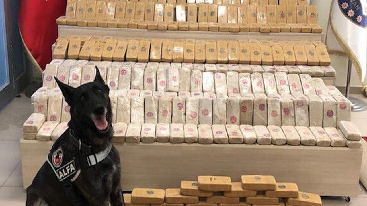 Over 80 kg of illicit drugs seized in Turkey