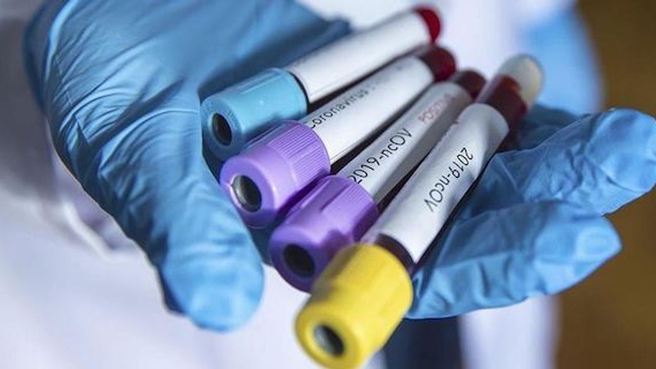 Coronavirus: Global death toll climbs over 10,000