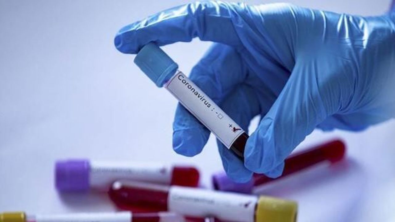 Real Madrid basketball player tests positive for coronavirus