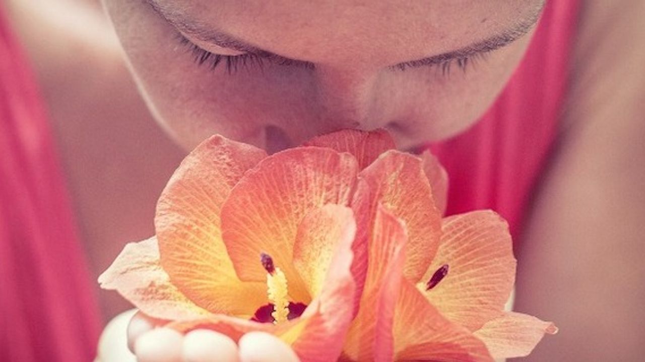 Coronavirus, UK adds loss of smell and taste to symptoms list