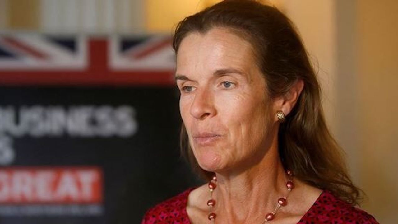 Turkey, UK closer to signing free trade deal
