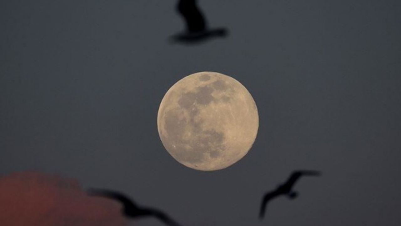 Discovery raises new questions about how water is created says top NASA official