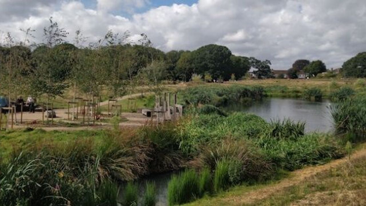 More ponds, butterflies and birds to enhance and protect Enfield