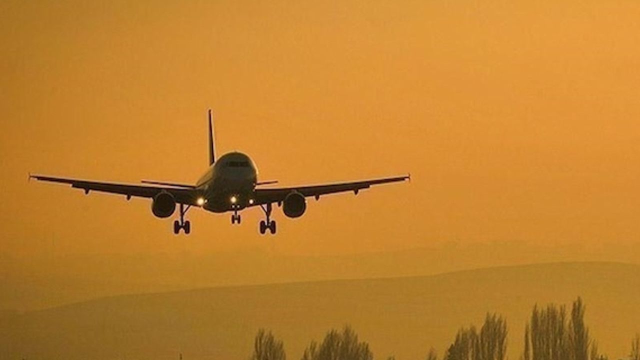 Air transport body expects airlines to return to profitability in 2023