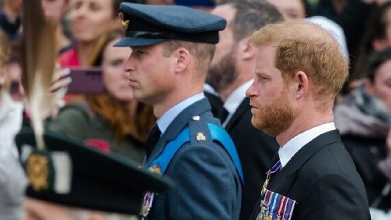 In memoir, UK's Prince Harry claims 'physical attack' by Prince William