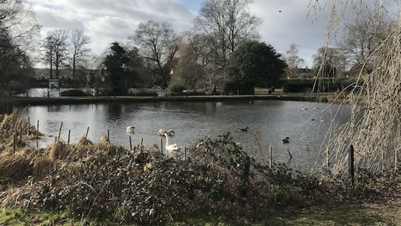 More than half a million pounds awarded to transform Broomfield Park project