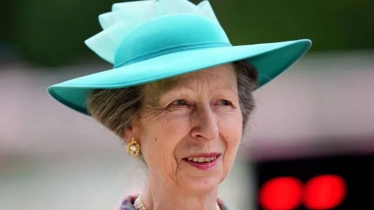 Princess Anne admitted to hospital after head injury