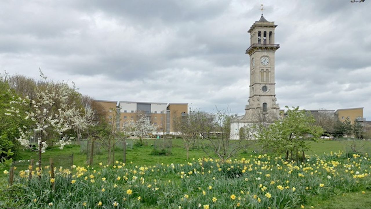 Islington’s beautiful Highbury Fields and hidden beauty of Gillespie Park
