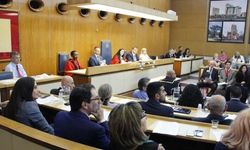 After Nesil Caliskan a by-election will be held in Jubilee ward in Enfield