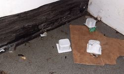 Enfield Pizza Hut pay the price of breaching food safety regulations 