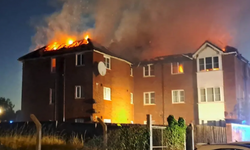 A Turkish boy helped take out all of the neighbours because they were sleeping