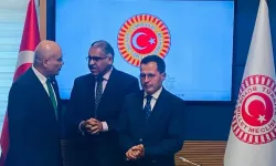 Thousands of Turks Caught in UK Immigration Backlog, Turkish MP Turhan Comez Says