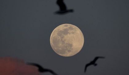 Discovery raises new questions about how water is created says top NASA official