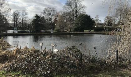 More than half a million pounds awarded to transform Broomfield Park project