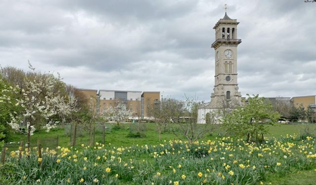 Islington’s beautiful Highbury Fields and hidden beauty of Gillespie Park