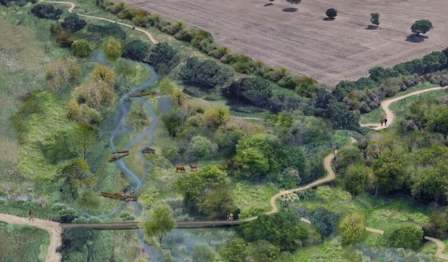 £500k Funding Boost to Restore Salmons Brook in Enfield