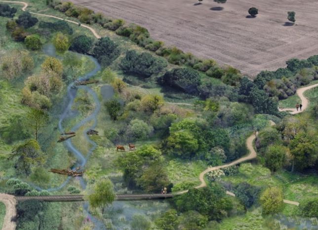 £500,000 Grant Secures Major Restoration of Enfield’s Salmons Brook