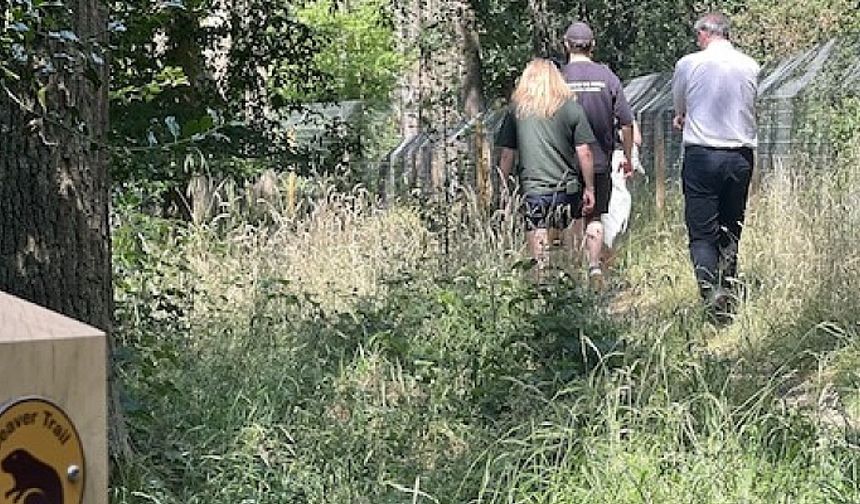 The Enfield beaver family has a little more room to roam and a brand-new baby kit to celebrate